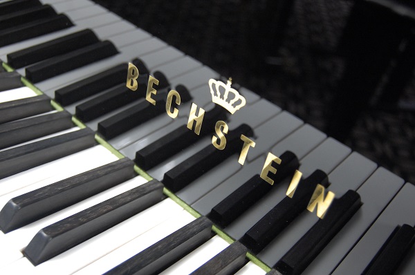 gebrauchter Flügel Foto 13