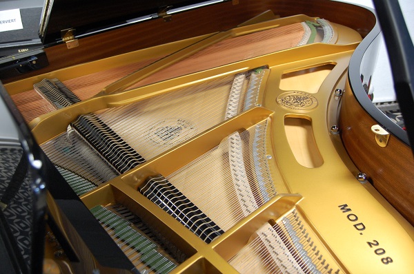 gebrauchter Flügel Foto 14