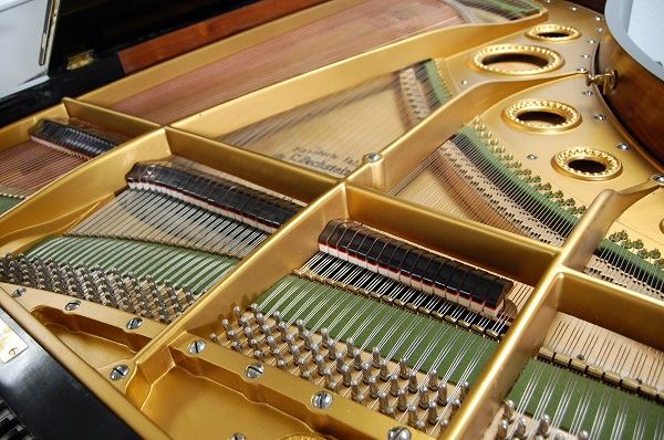 gebrauchter Flügel Foto 17