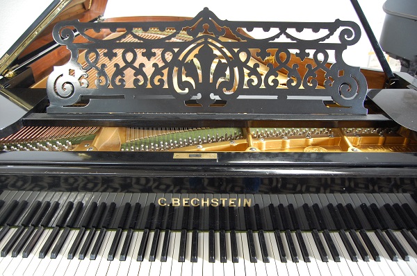 gebrauchter Flügel Foto 16