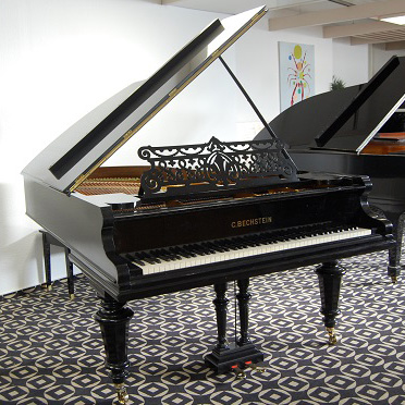 gebrauchter Flügel Foto 15