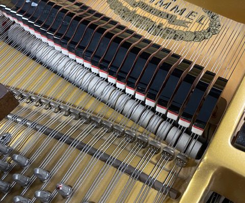 gebrauchter Flügel Foto 7