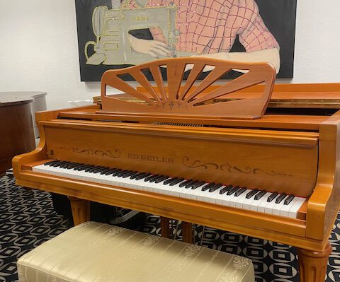 gebrauchter Flügel Foto 1