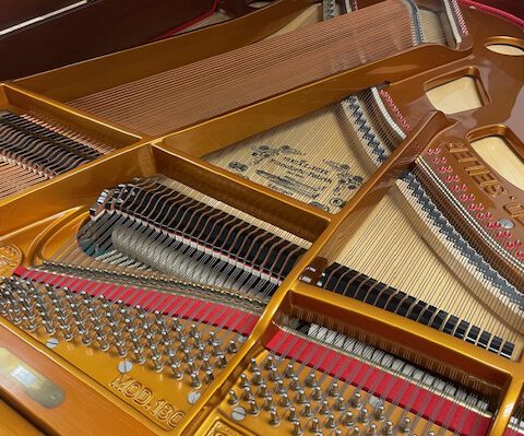 Mechanik eines Flügels