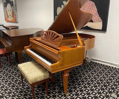 gebrauchter Flügel Foto 5