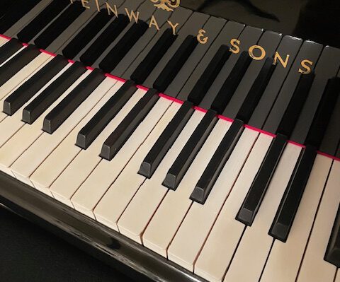 gebrauchter Flügel Foto 9