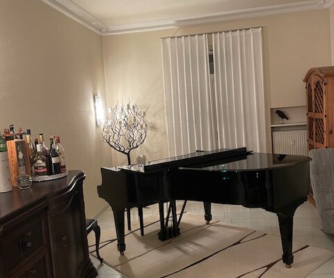 gebrauchter Flügel Foto 10