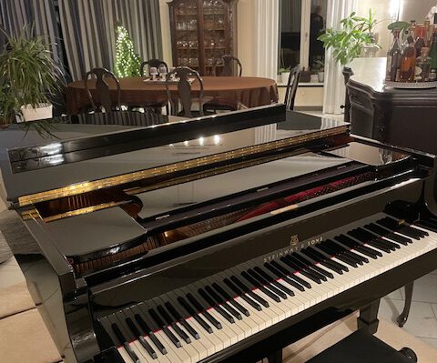 gebrauchter Flügel Foto 11