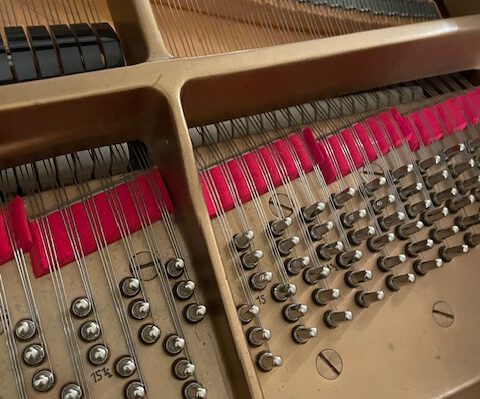 gebrauchter Flügel Foto 12