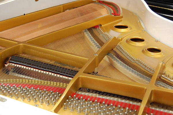 gebrauchter Flügel Foto 21