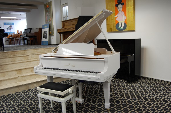 gebrauchter Flügel Foto 20