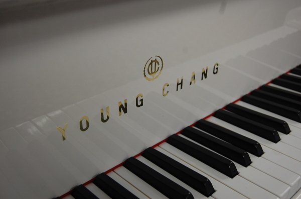 YOUNG CHANG Logo
