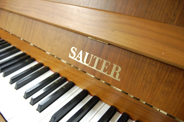 Sauter 108 Logo
