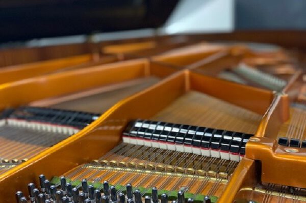 Bösendorfer Innen Pianohaus Landt