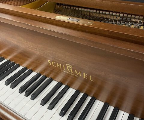 Schimmel 174 T Nußbaum